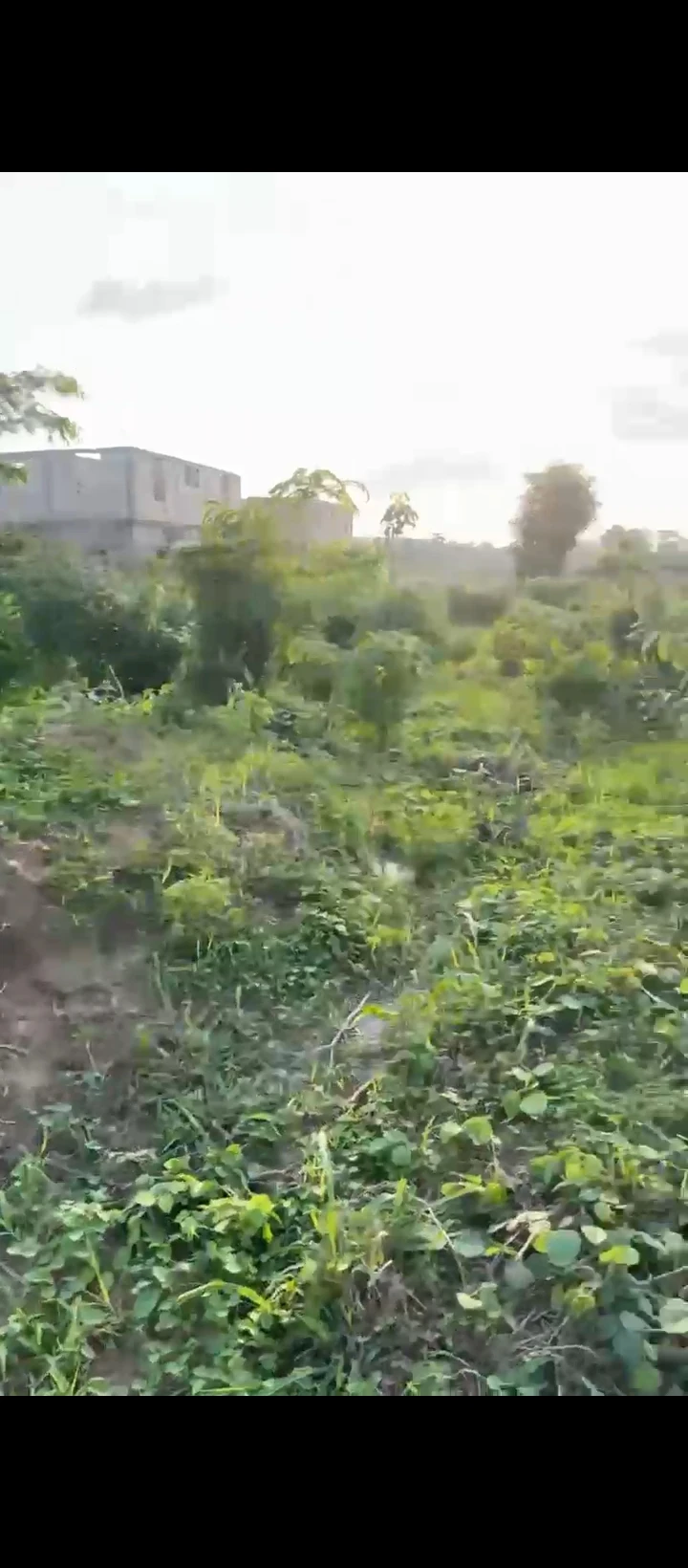 Land for Sale in Amagba, Edo