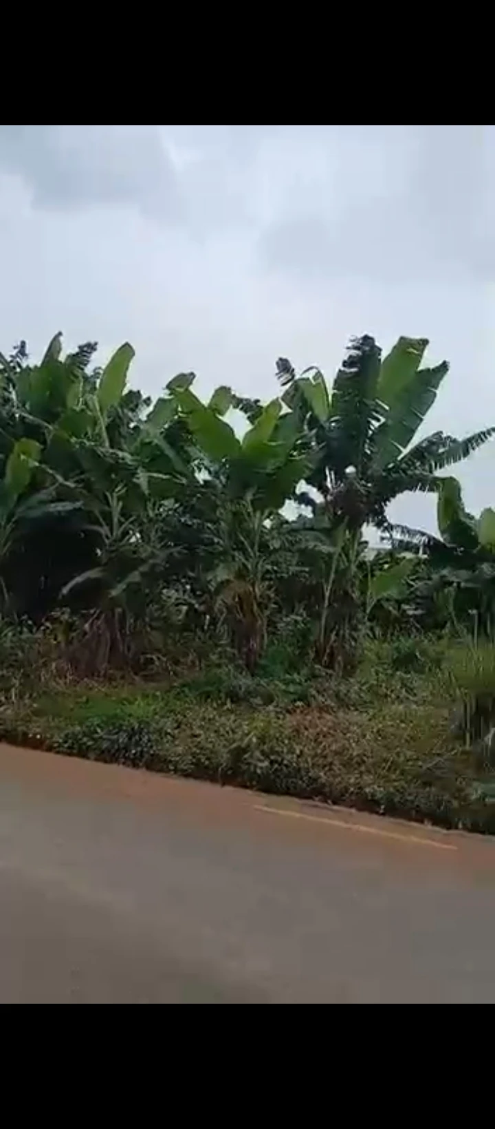 Land for Sale in Iriri, Edo cover picture