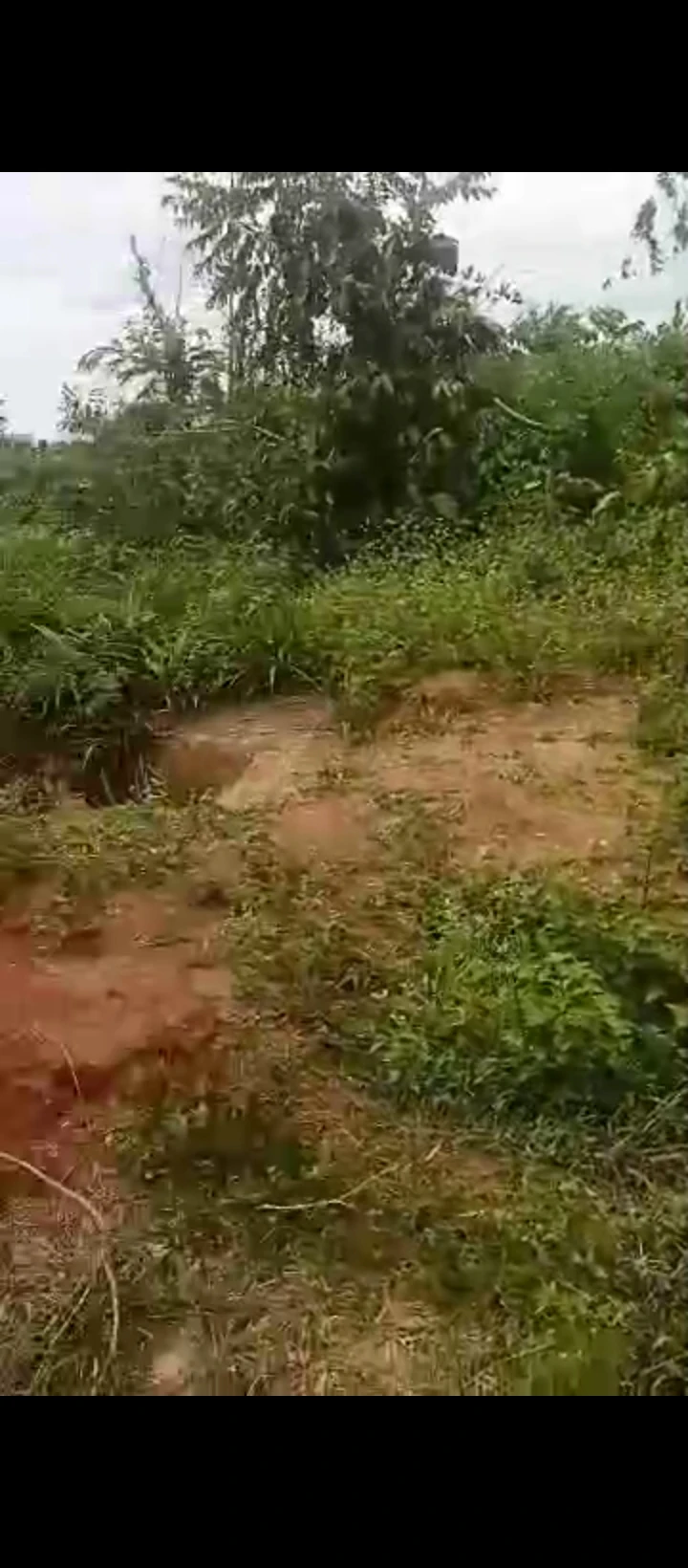 Land for Sale in Obagie sapele road close to ogheghe, Edo