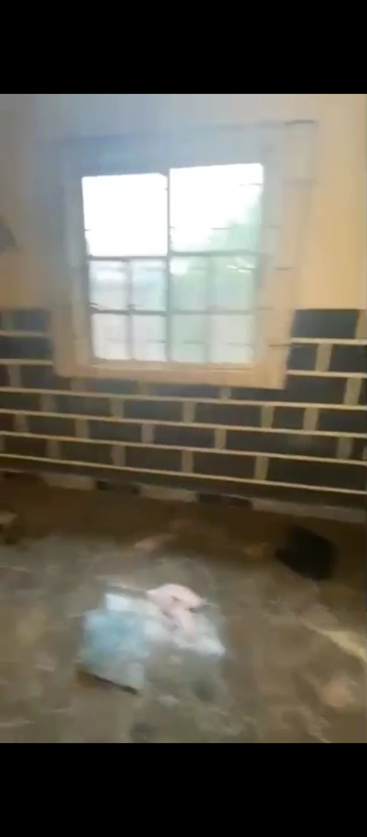 1 Bedroom Flat for Sale in Evidence, Edo cover picture