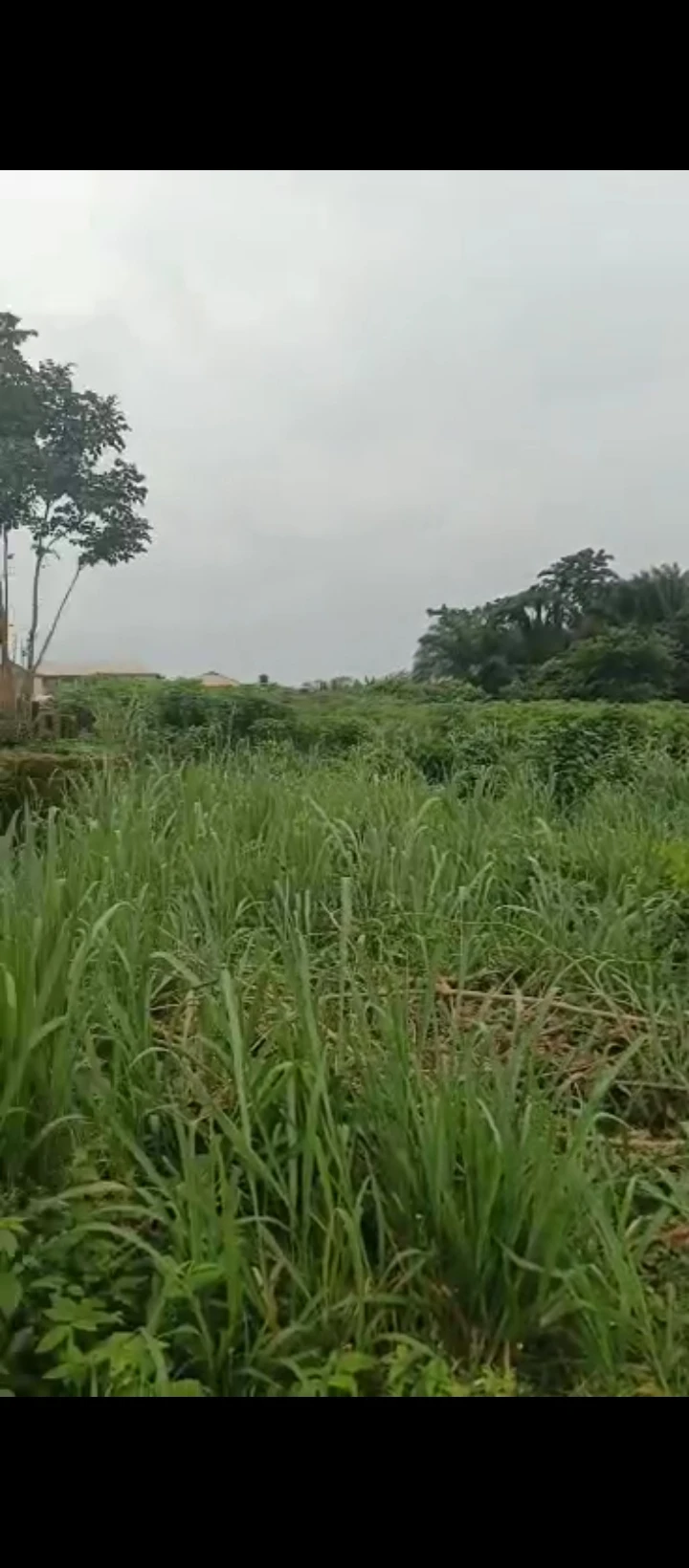 Land for Sale in Airport road, Edo cover picture