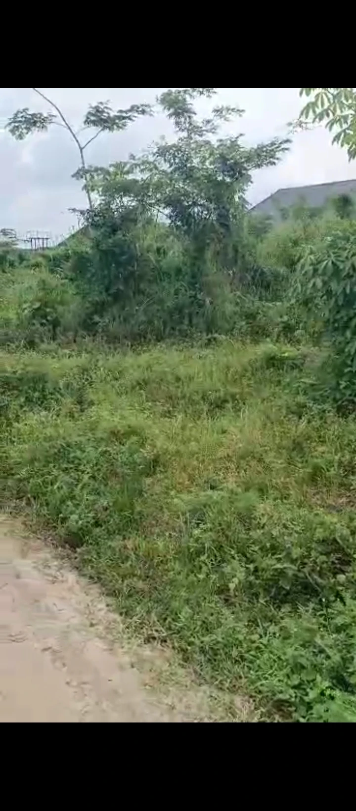 Land for Sale in Ogheghe sapele road, Edo