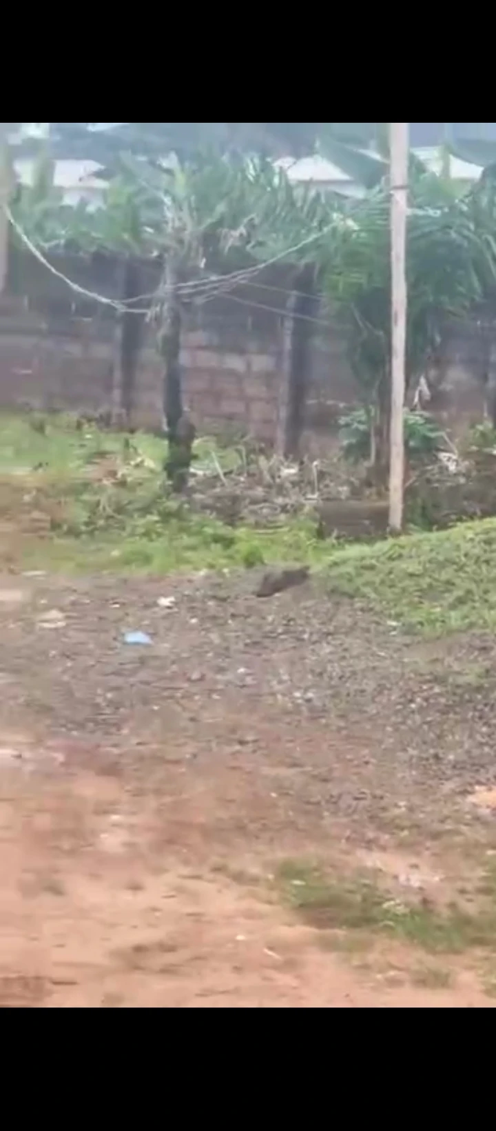 Land for Sale in 2nd ugbor, Edo cover picture