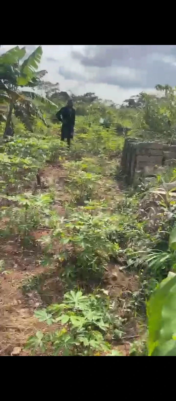 Land for Sale in Obagie sapele road, Edo cover picture