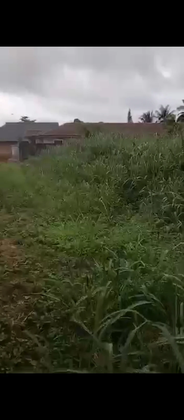 Land for Sale in 2nd ugbor gra, Edo cover picture