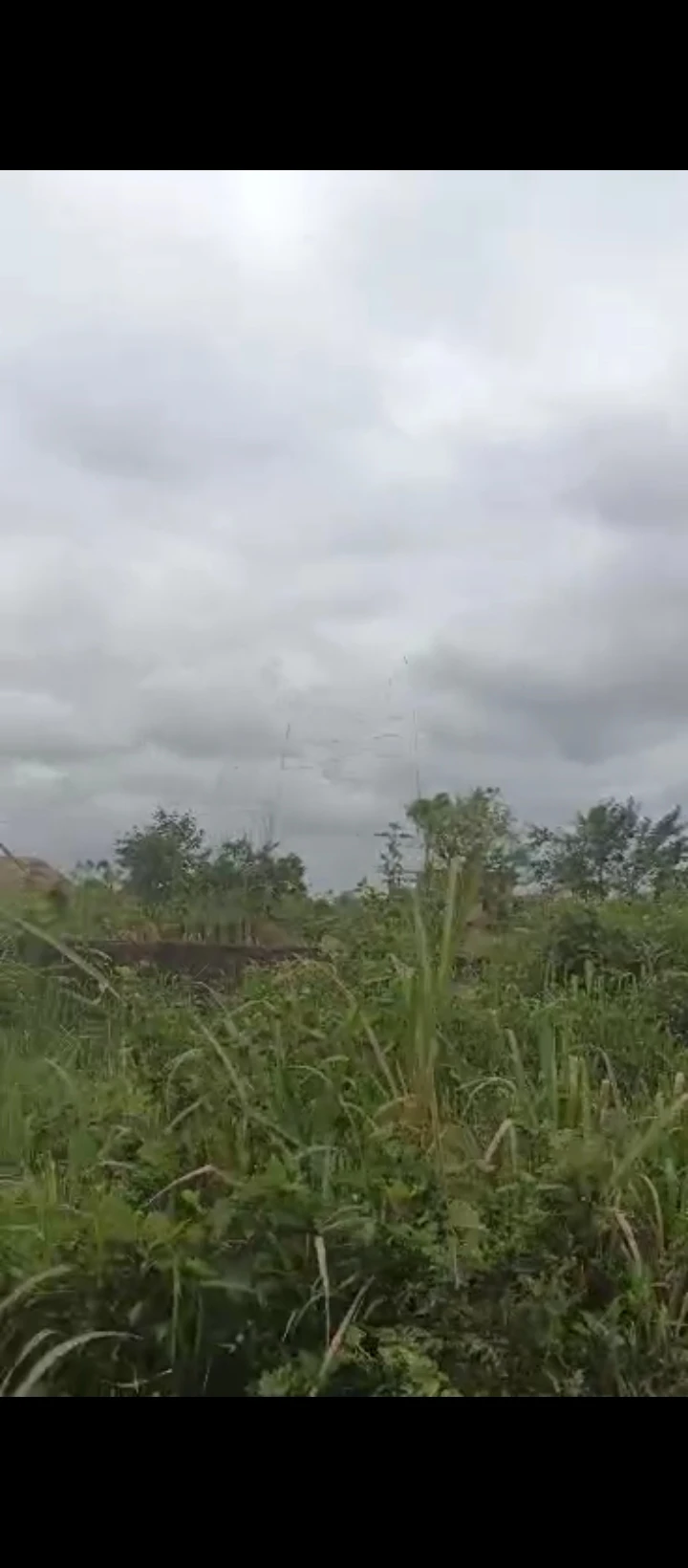 Land for Sale in Obagie sapele road, Edo cover picture