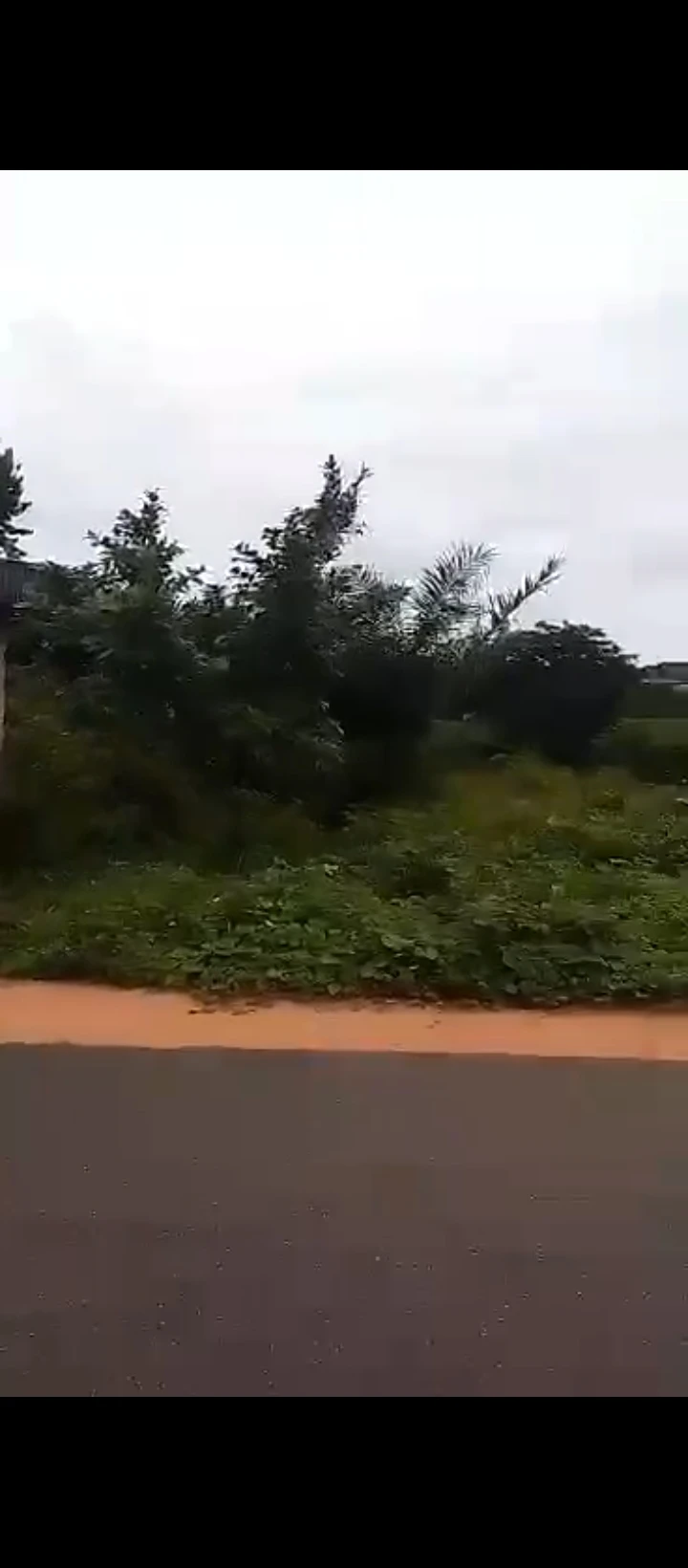 Land for Sale in Amagbe, Edo cover picture