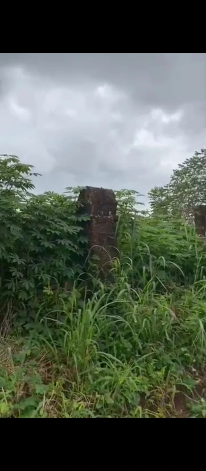 Land for Sale in Ugbor, Edo cover picture