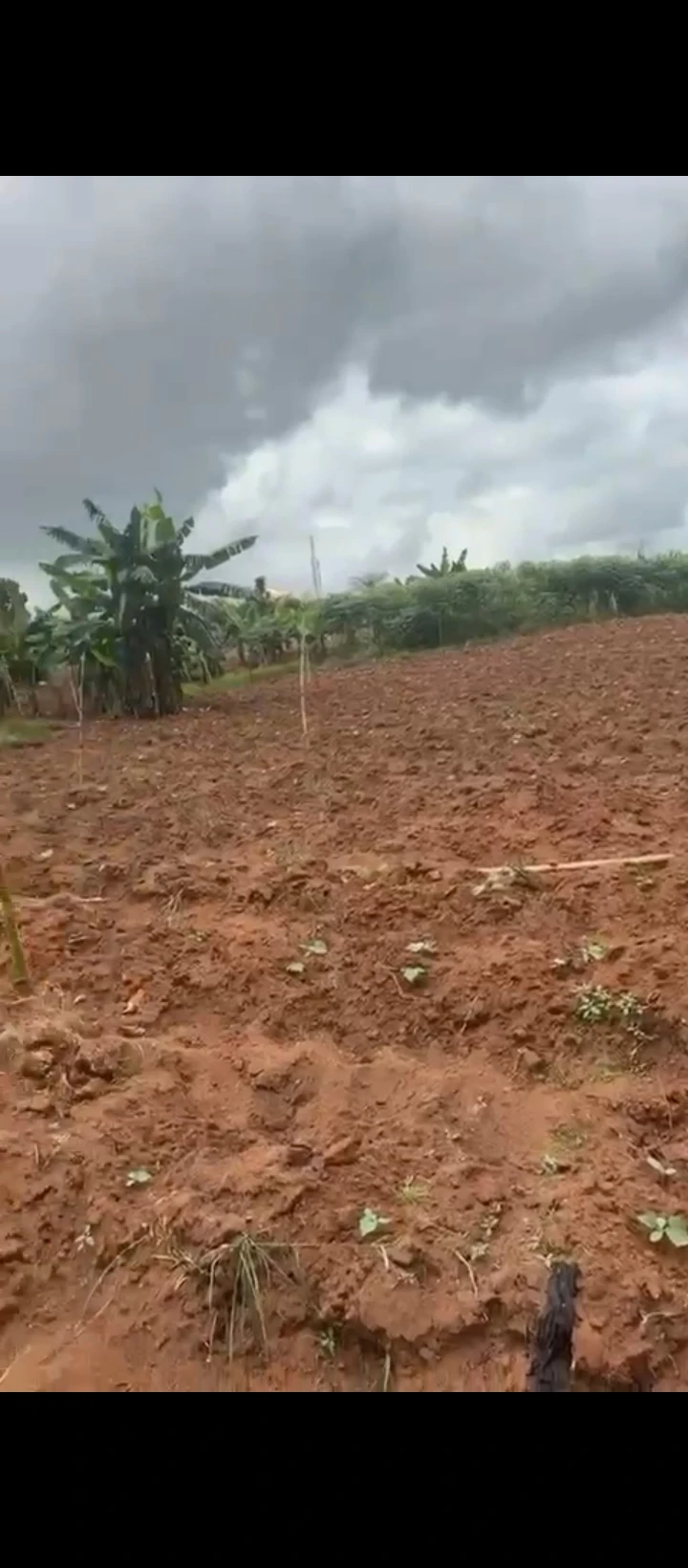 Land for Sale in Oluku, Edo cover picture