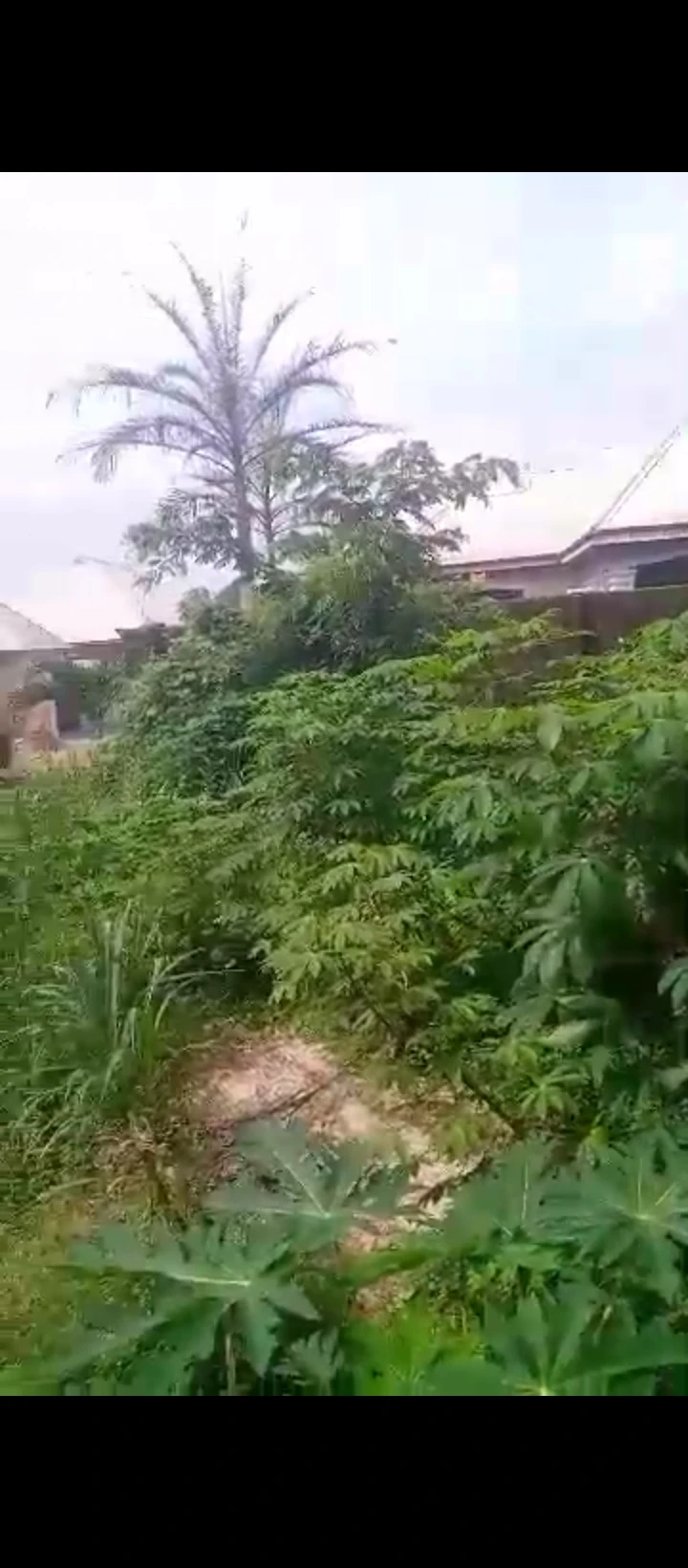 Uncompleted Building for Sale in Amagba, Edo cover picture