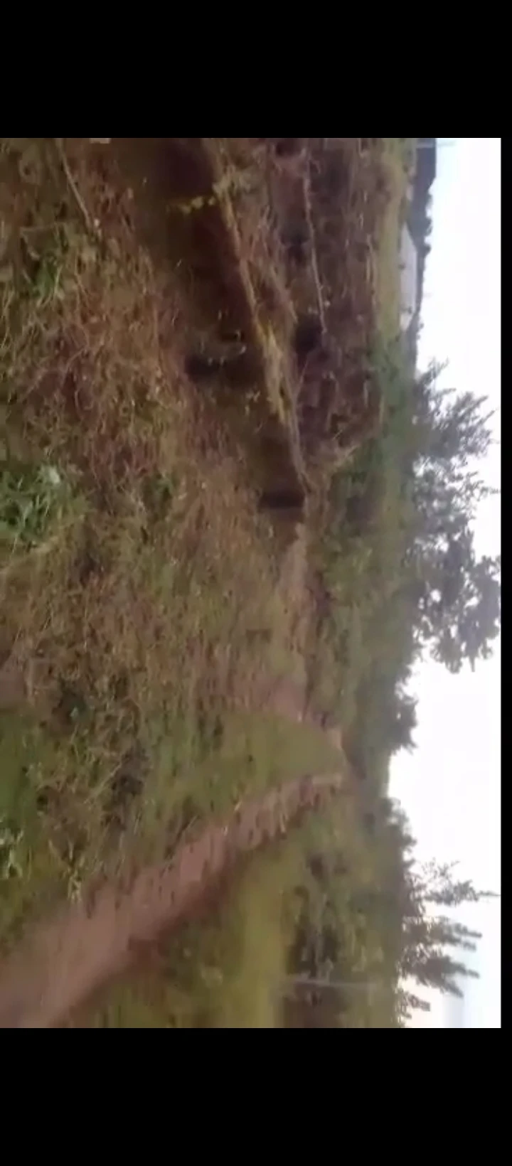 Land for Sale in Amagba river side, Edo cover picture