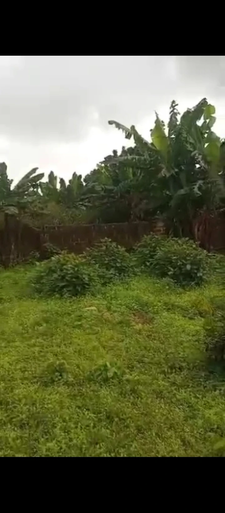 Land for Sale in Benin city, Edo cover picture