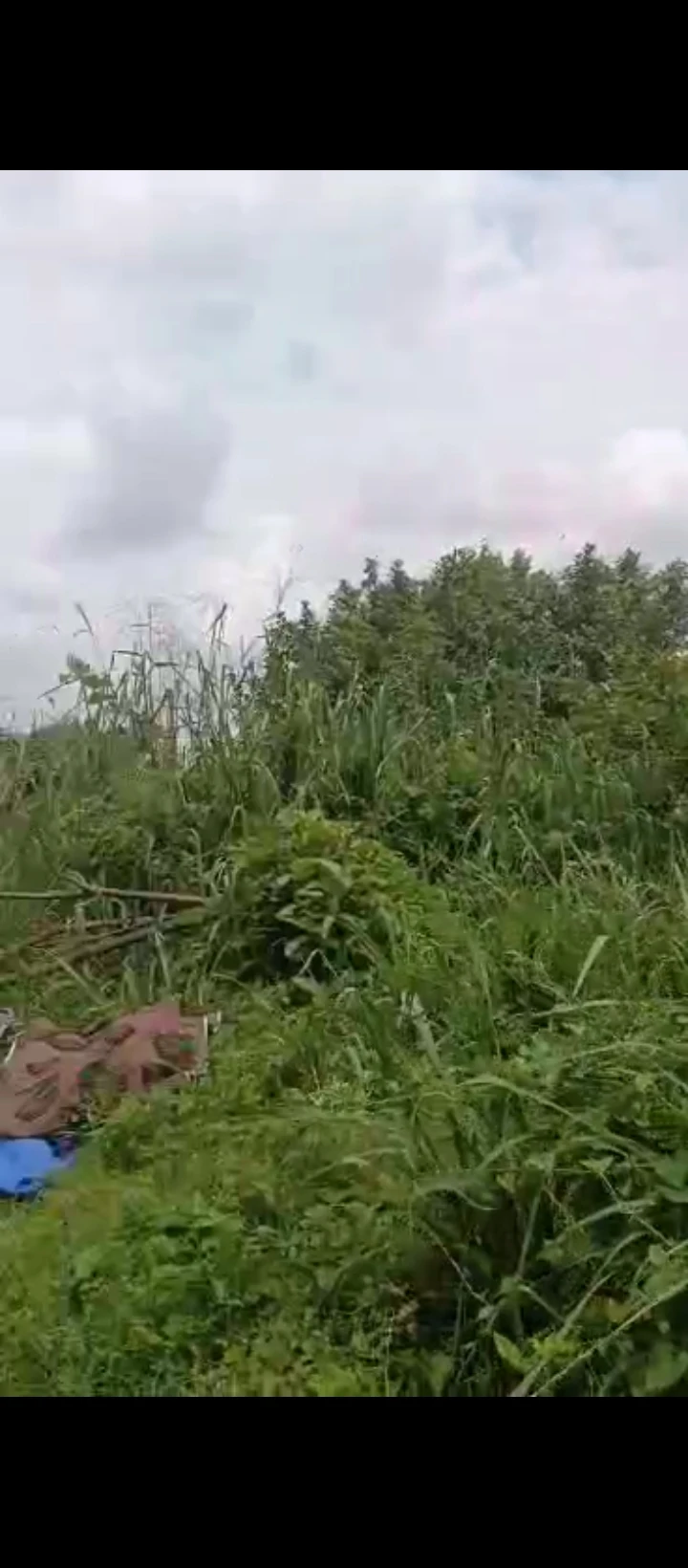 Uncompleted Building for Sale in Ebo airport road, Edo cover picture