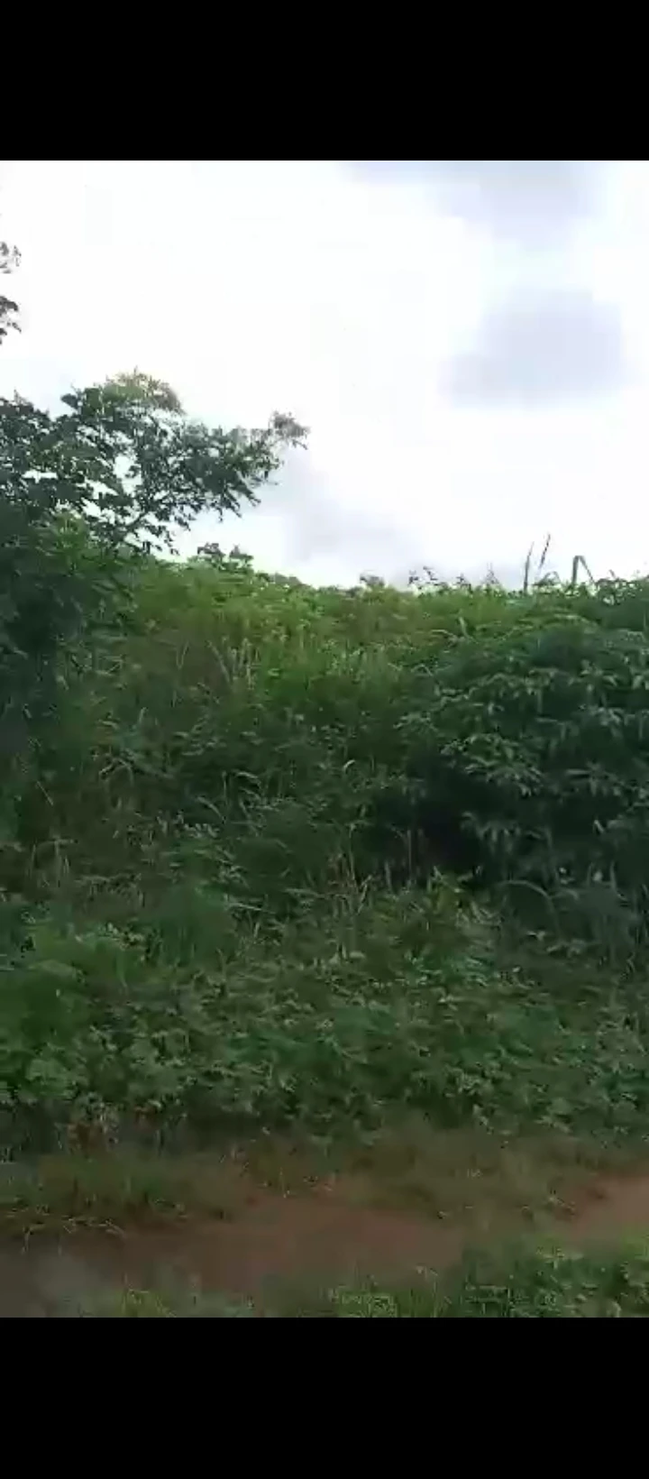 Land for Sale in Sapele road biu estate, Edo cover picture