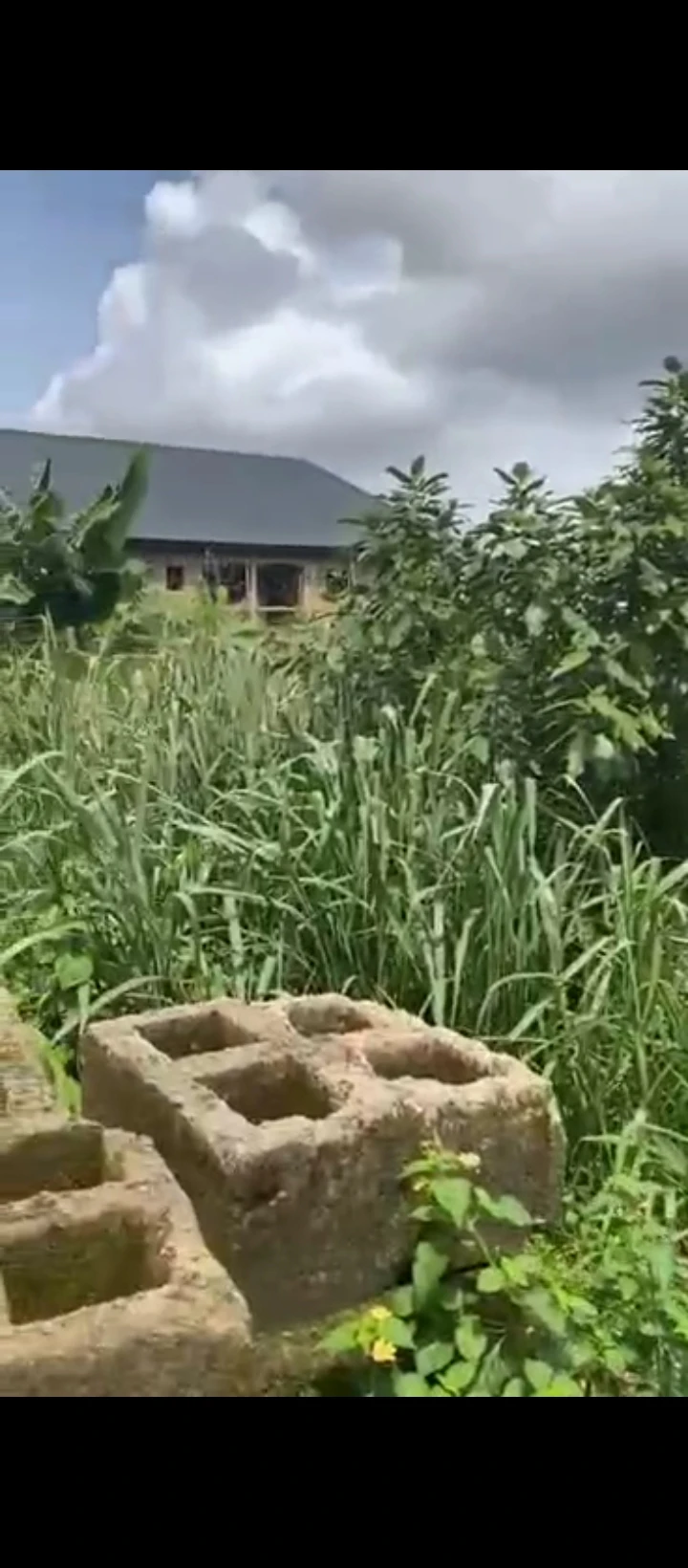 Land for Sale in Ugbor central, Edo cover picture