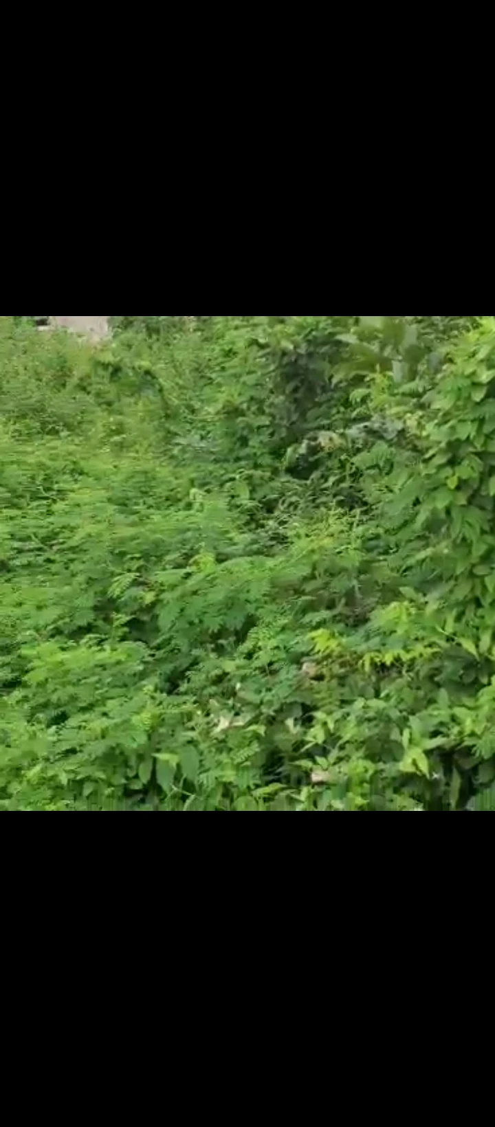 Land for Sale in Okah sapele road, Edo cover picture