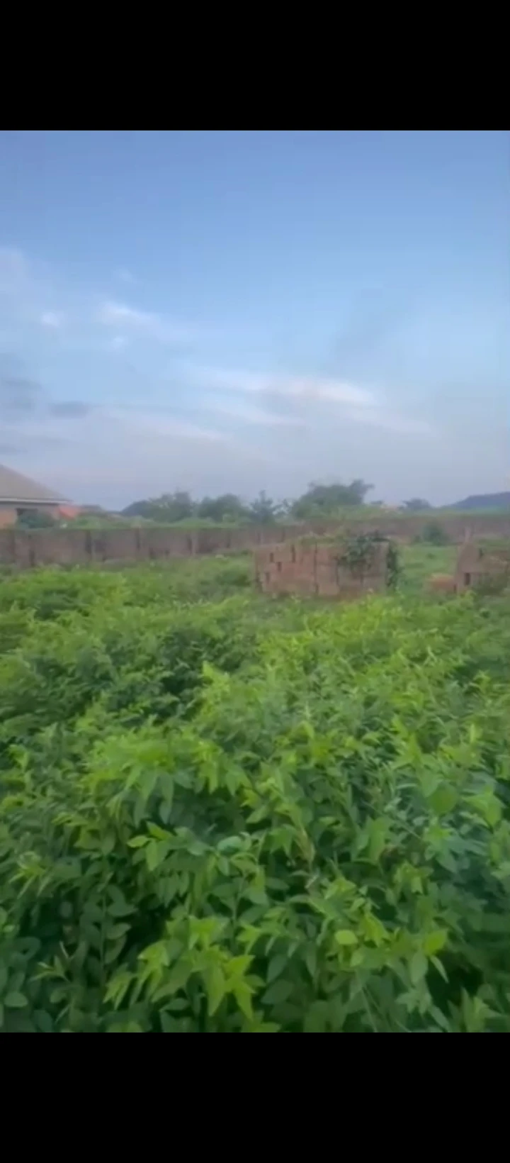 Land for Sale in Airport road extension, Edo cover picture