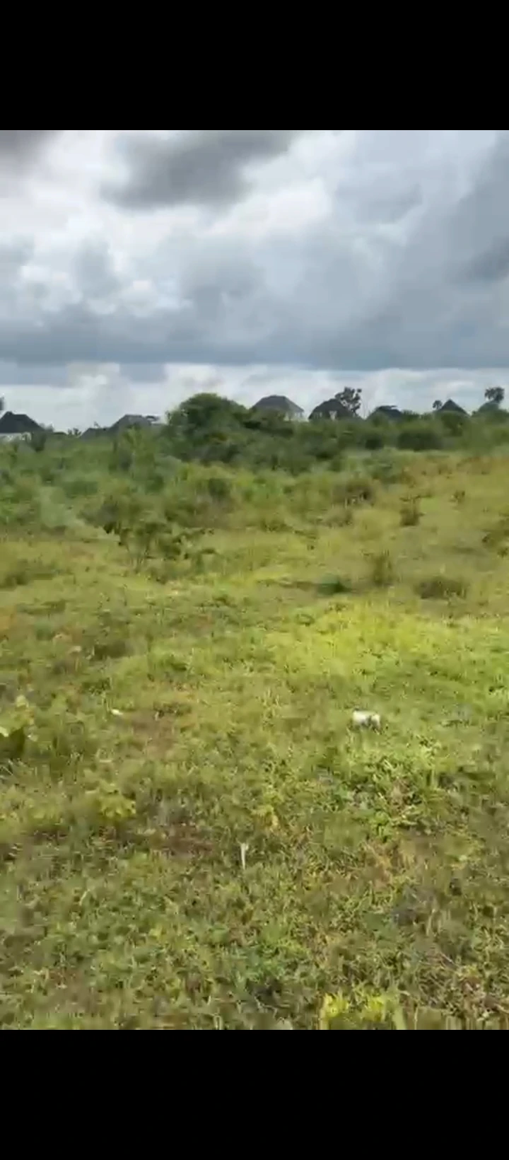Land for Sale in Sapele road, Edo cover picture
