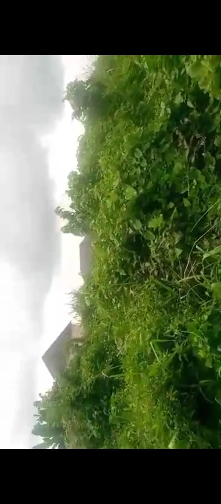 Land for Sale in Oluku, Edo cover picture