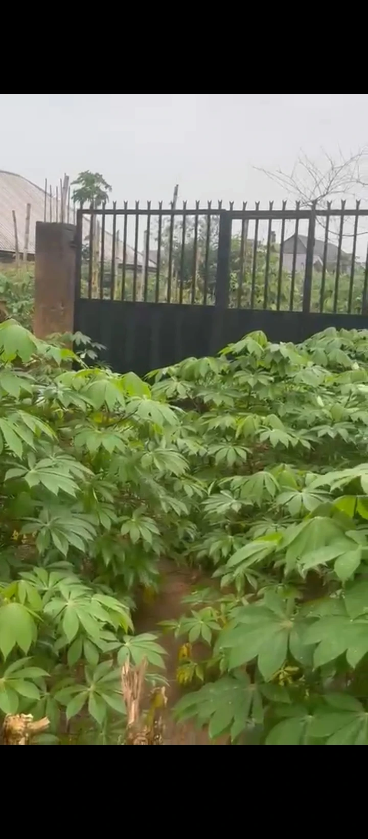 Land for Sale in Ogunwemnyi, Edo cover picture
