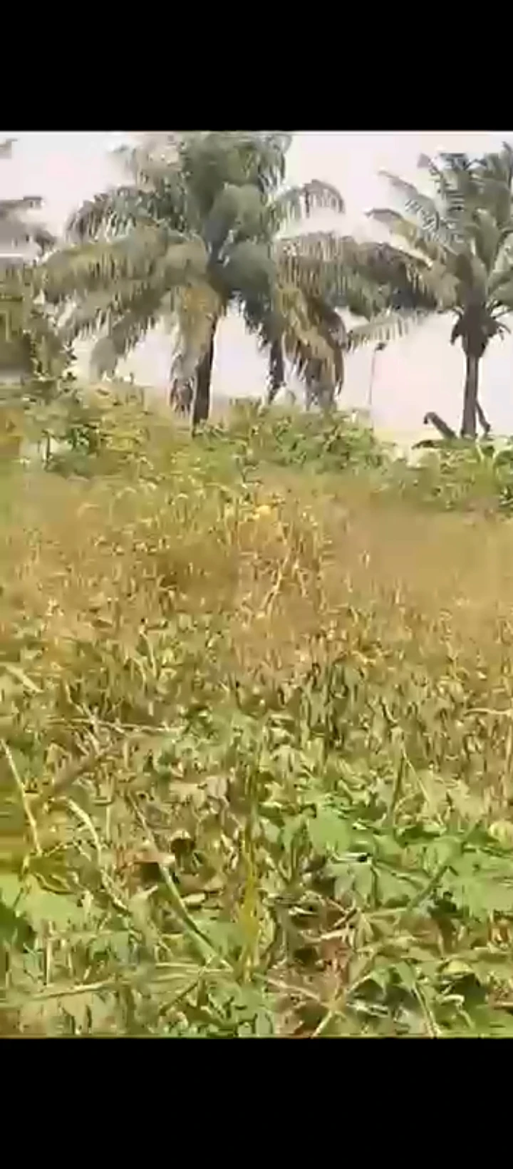 Land for Sale in Iguosa oluku, Edo cover picture