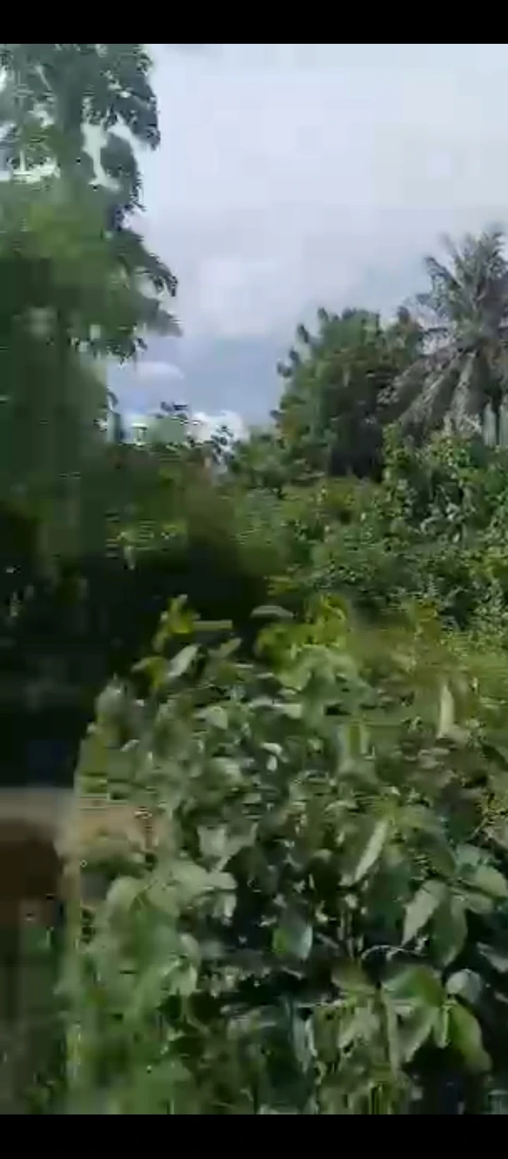 Land for Sale in Sapele road, Edo cover picture