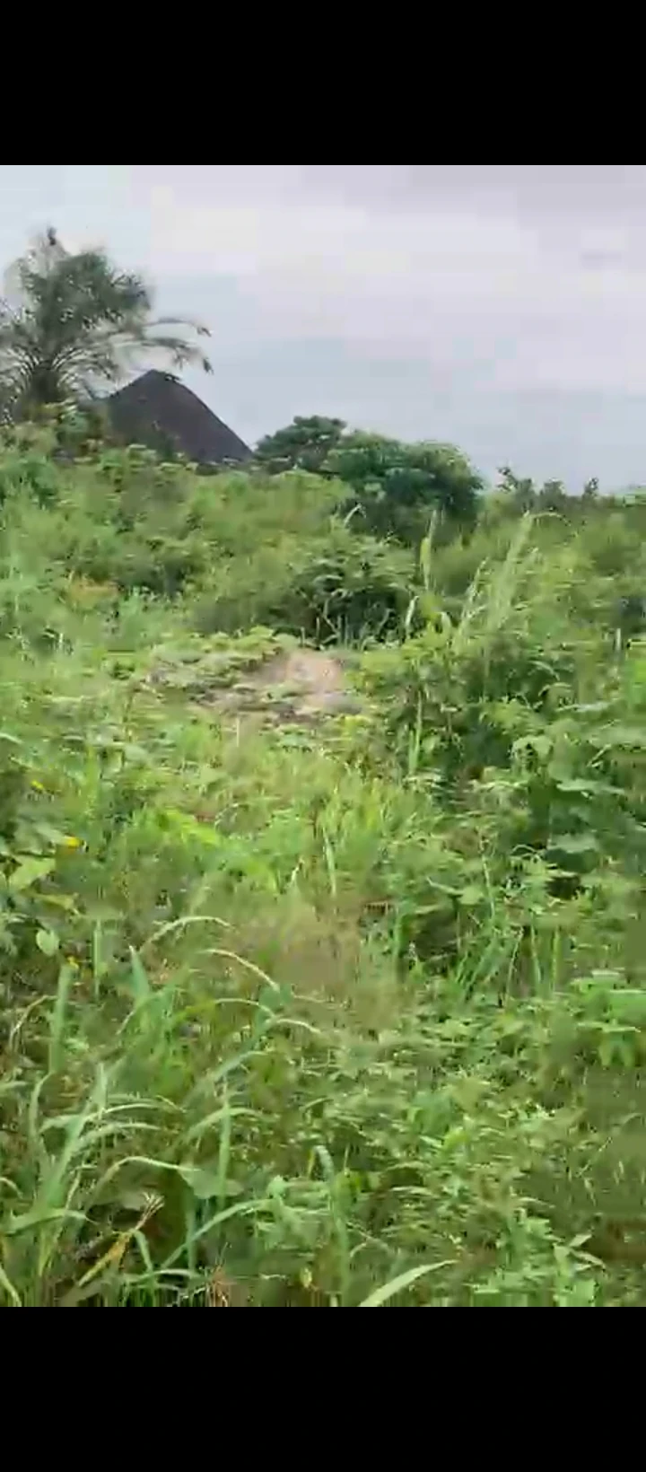 Land for Sale in Uhie community, Edo cover picture