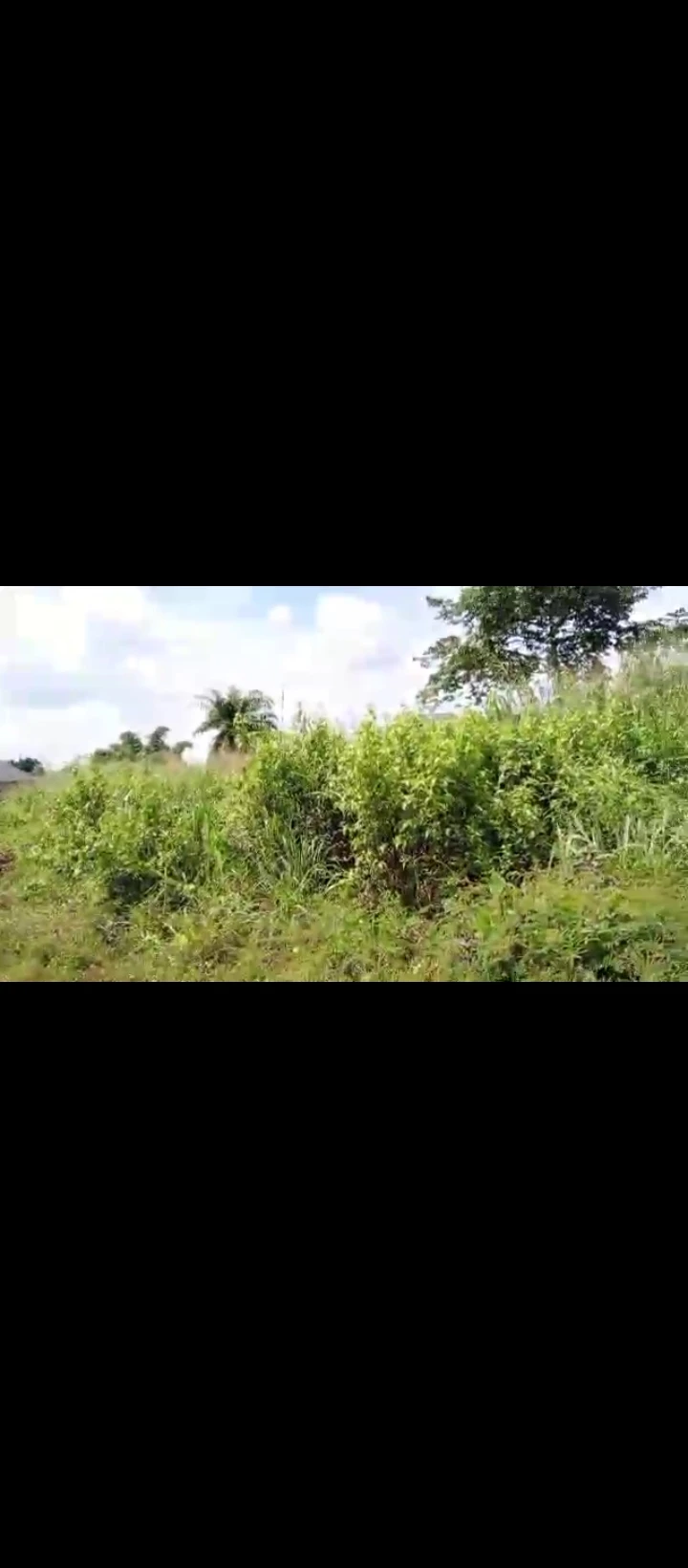 Land for Sale in Uwo community, Edo cover picture