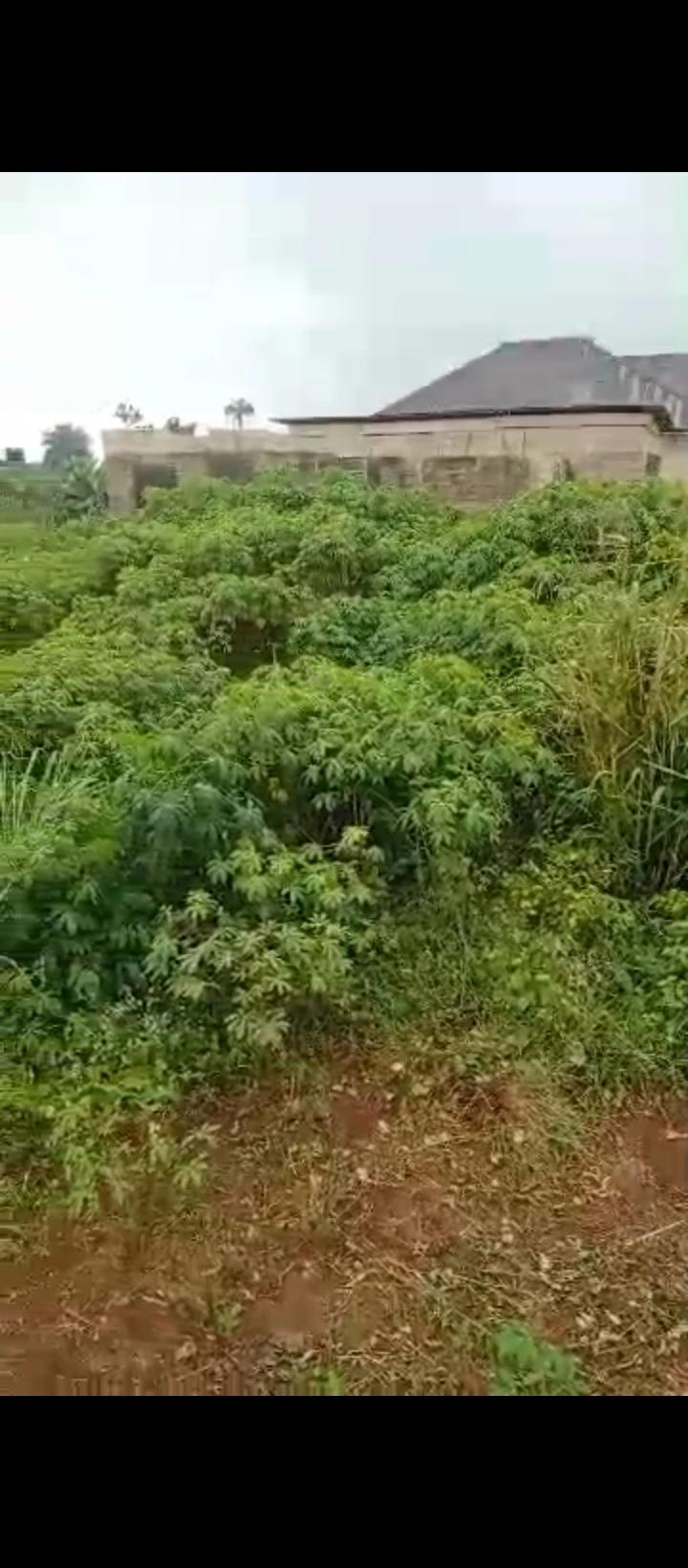 Land for Sale in Uhroho sapele road, Edo cover picture