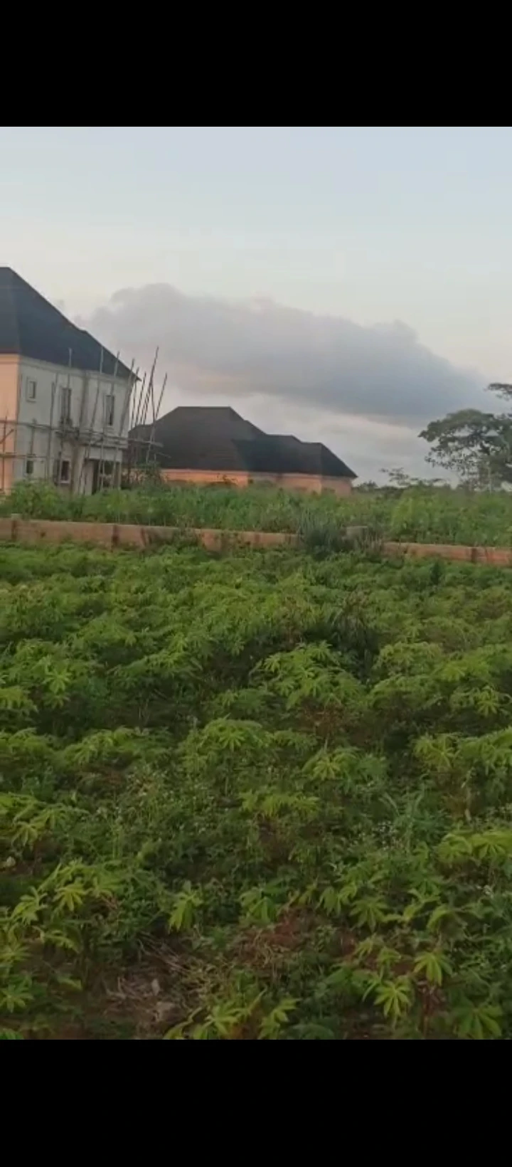 Land for Sale in Iyanomo sapele road bypass, Edo cover picture