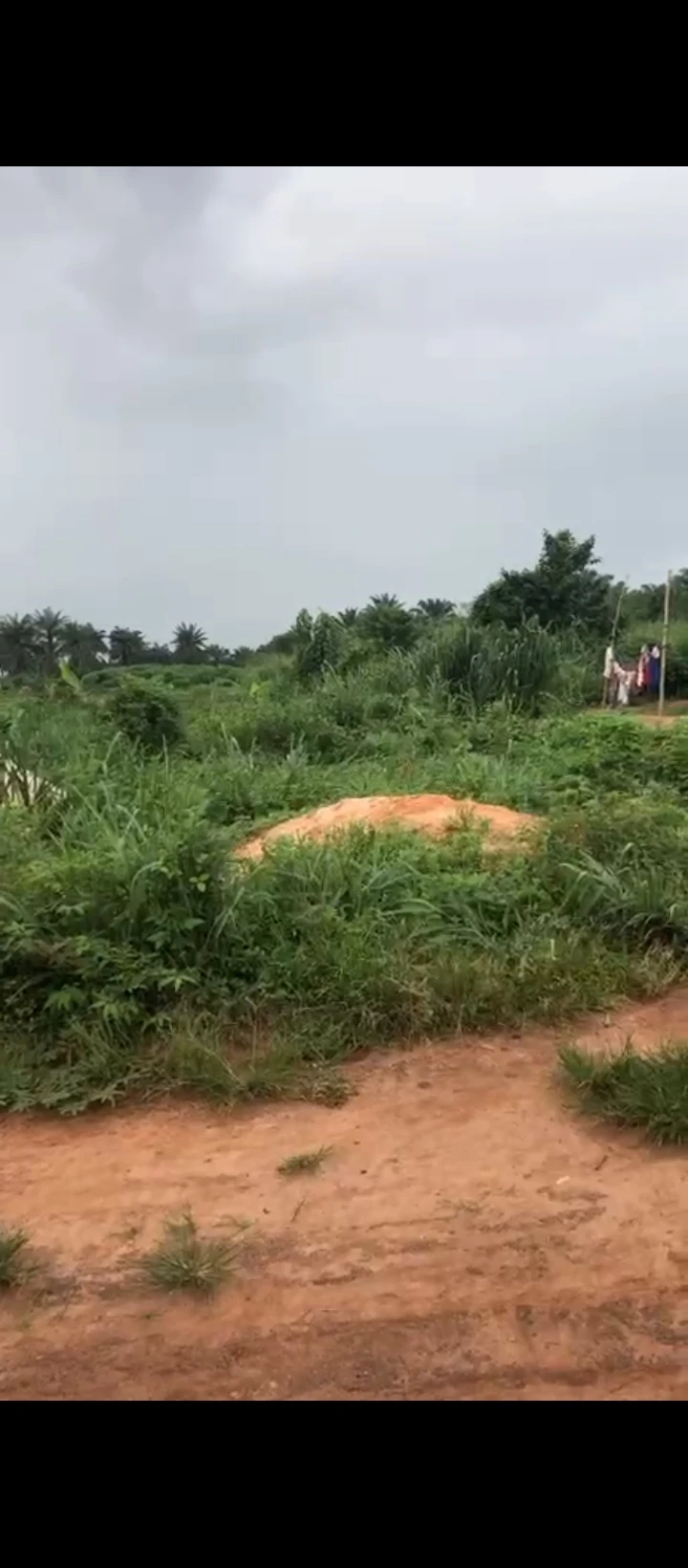 Land for Sale in Idogbo, Edo cover picture
