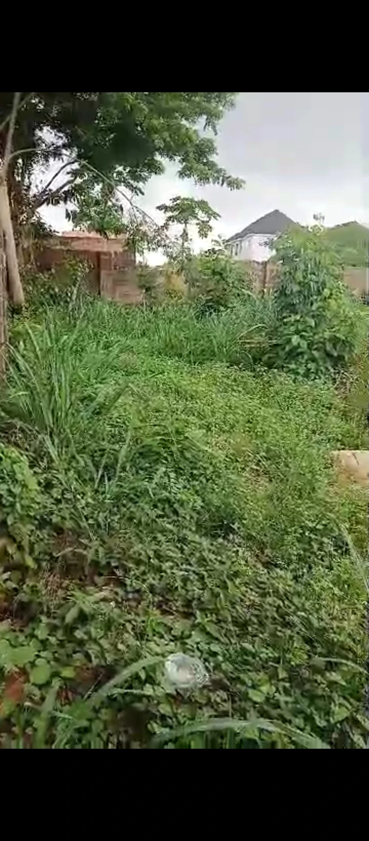 Land for Sale in Falanou country home, Edo cover picture