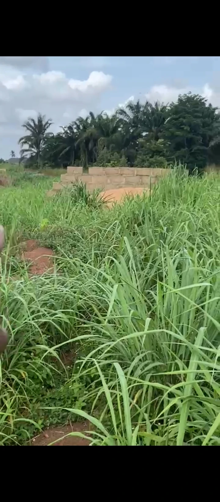 Land for Sale in Ayen community egba, Edo cover picture