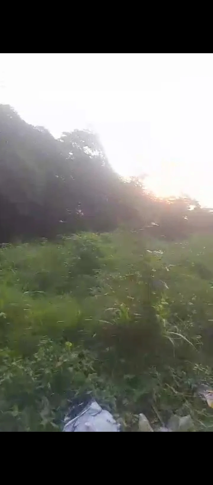 Land for Sale in Off airport road, Edo - Image 1