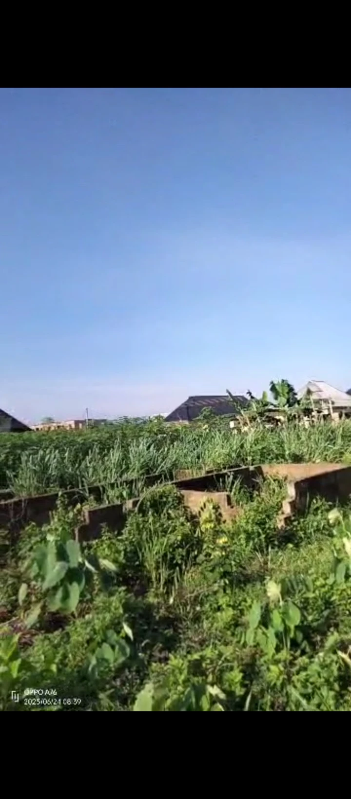 Land for Sale in Obagie Nevbuosa community, Off Oduware Street, 7mins walk to the junction, Edo - Image 1