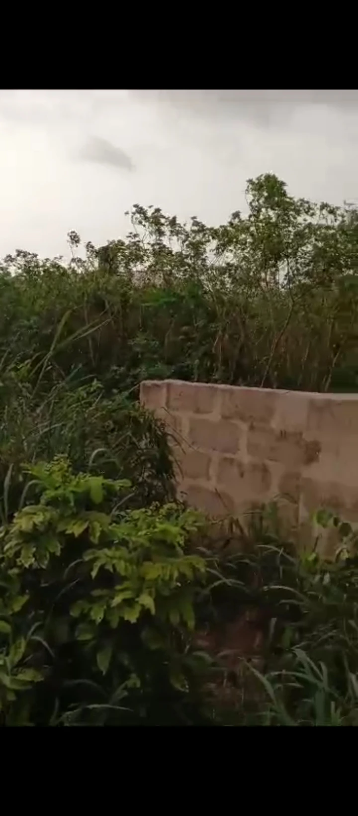 Land for Sale in Amagba GRA, Edo - Image 1