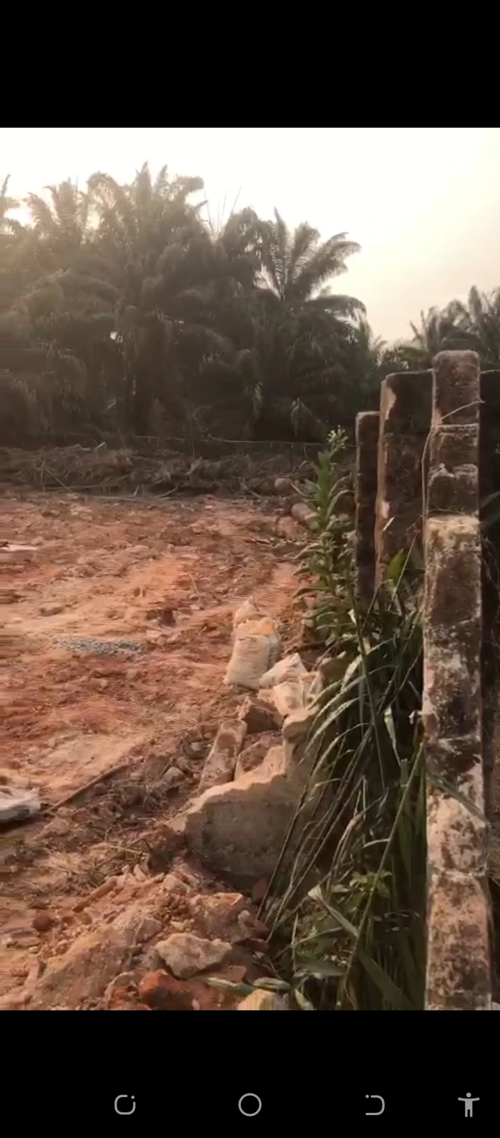 Land for Sale in falanu, off Country Home Road, Edo - Image 1