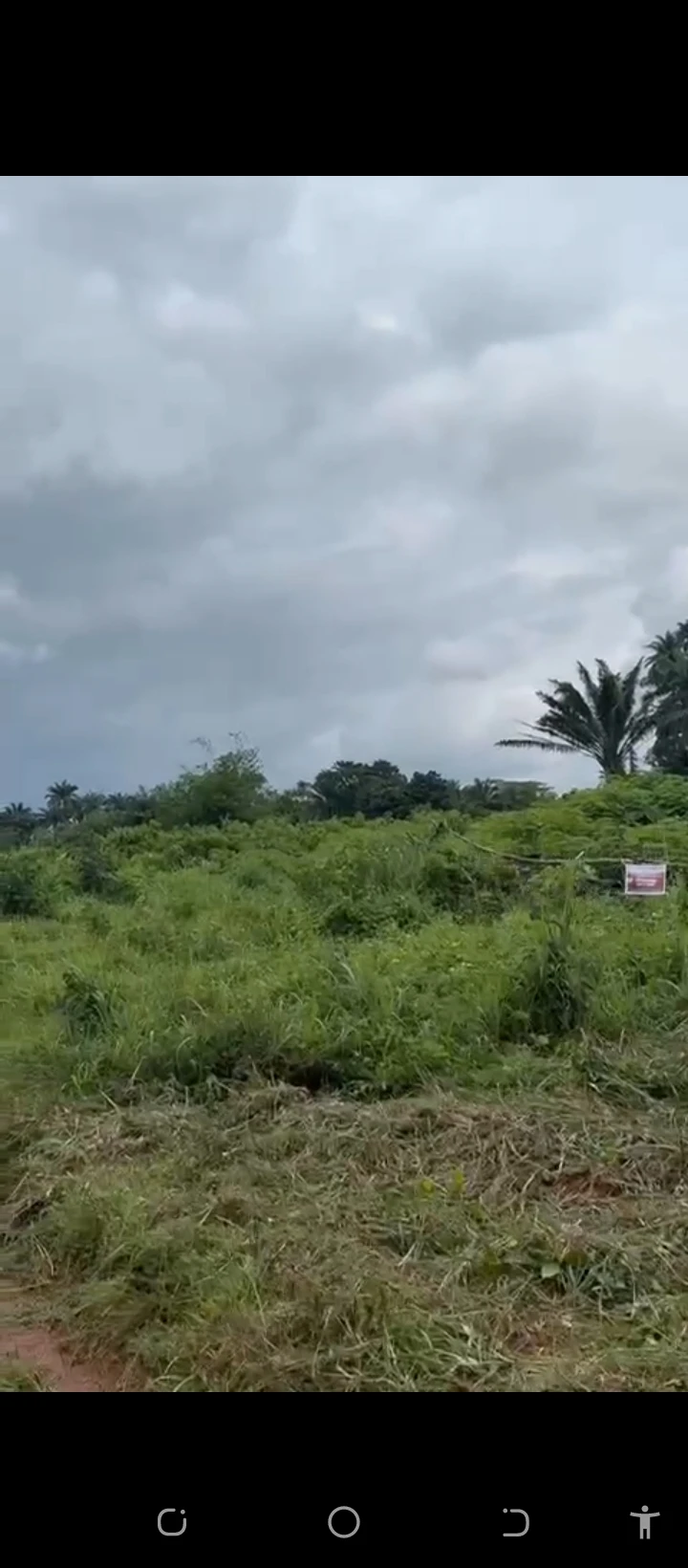 Land for Sale in Ekiadolor, Edo - Image 1