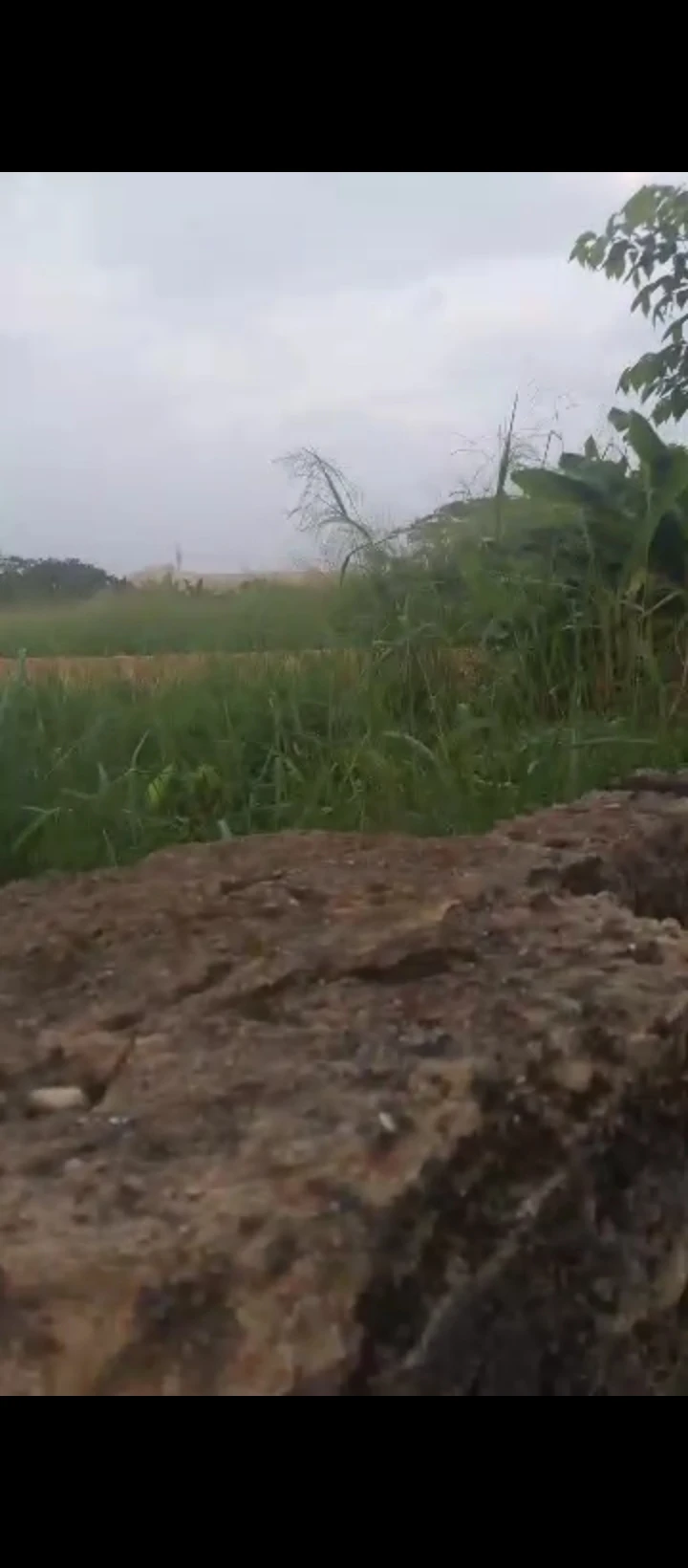 Land for Sale in Amagba GRA, Edo - Image 1