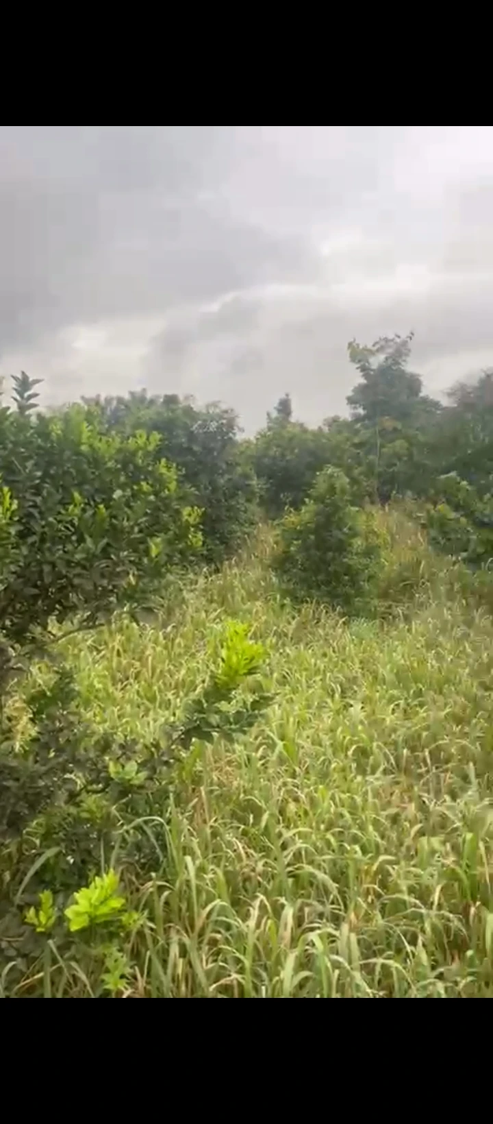 Land for Sale in Uholor community Benin city, Edo - Image 1