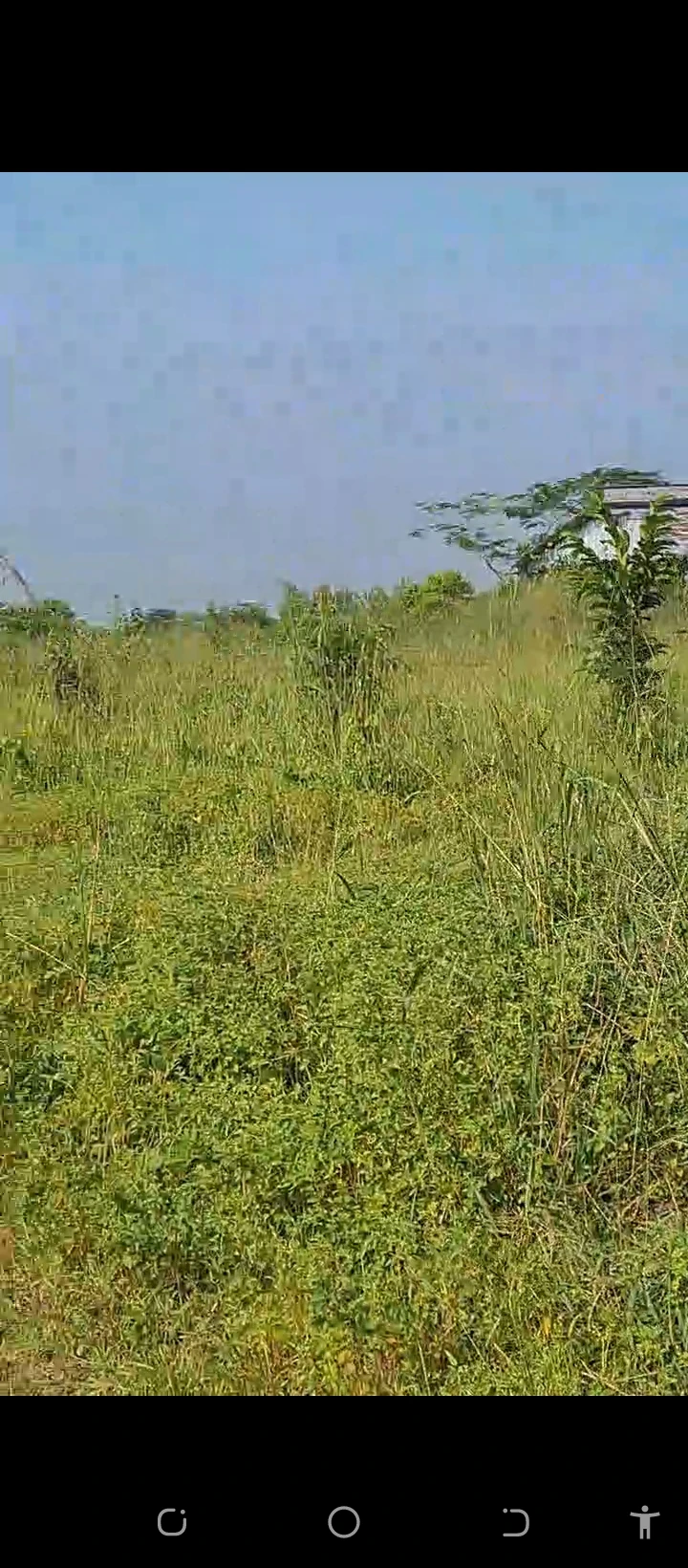 Land for Sale in Iyanomo community along sapele road, Edo - Image 1