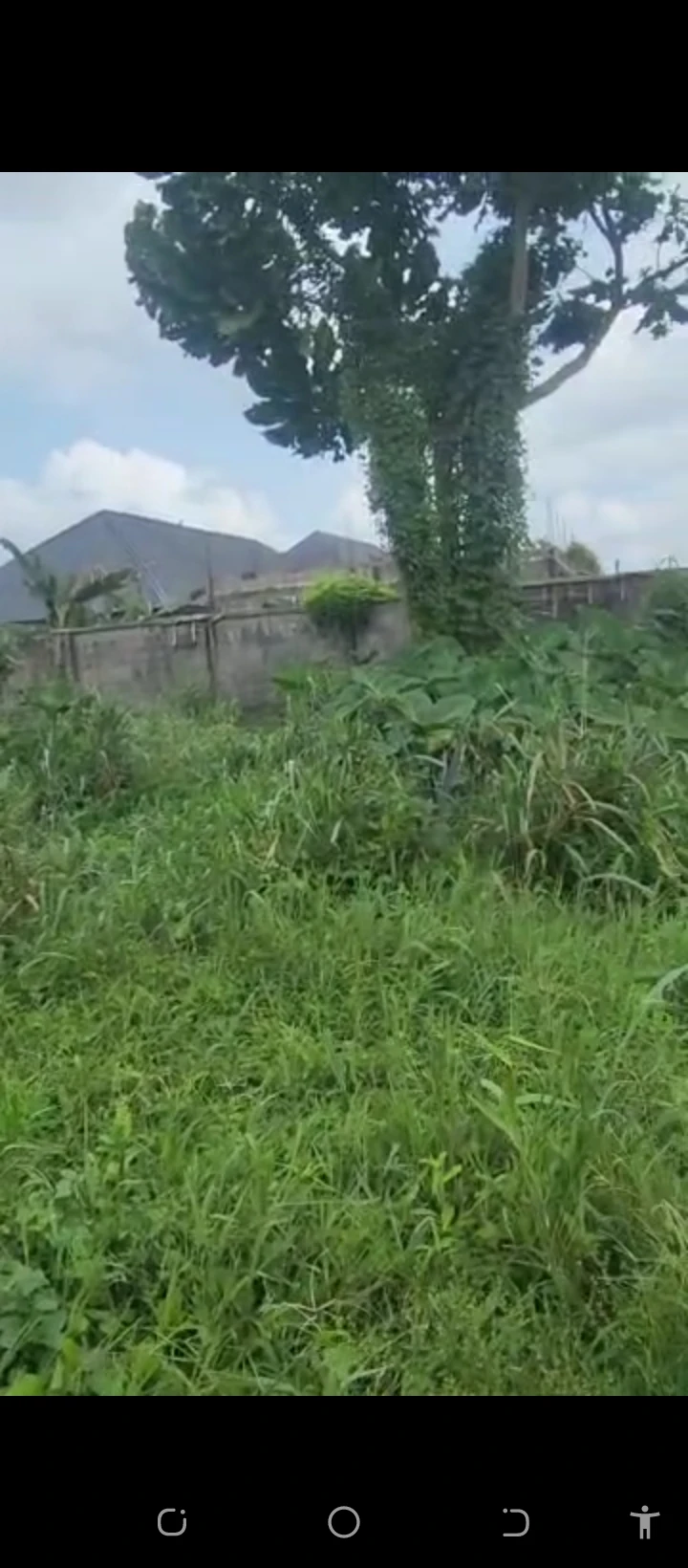 Land for Sale in JEDDO, Edo - Image 1