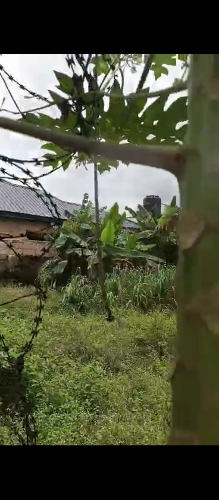 Land for Sale in Ugbor Benin city, Edo - Image 1