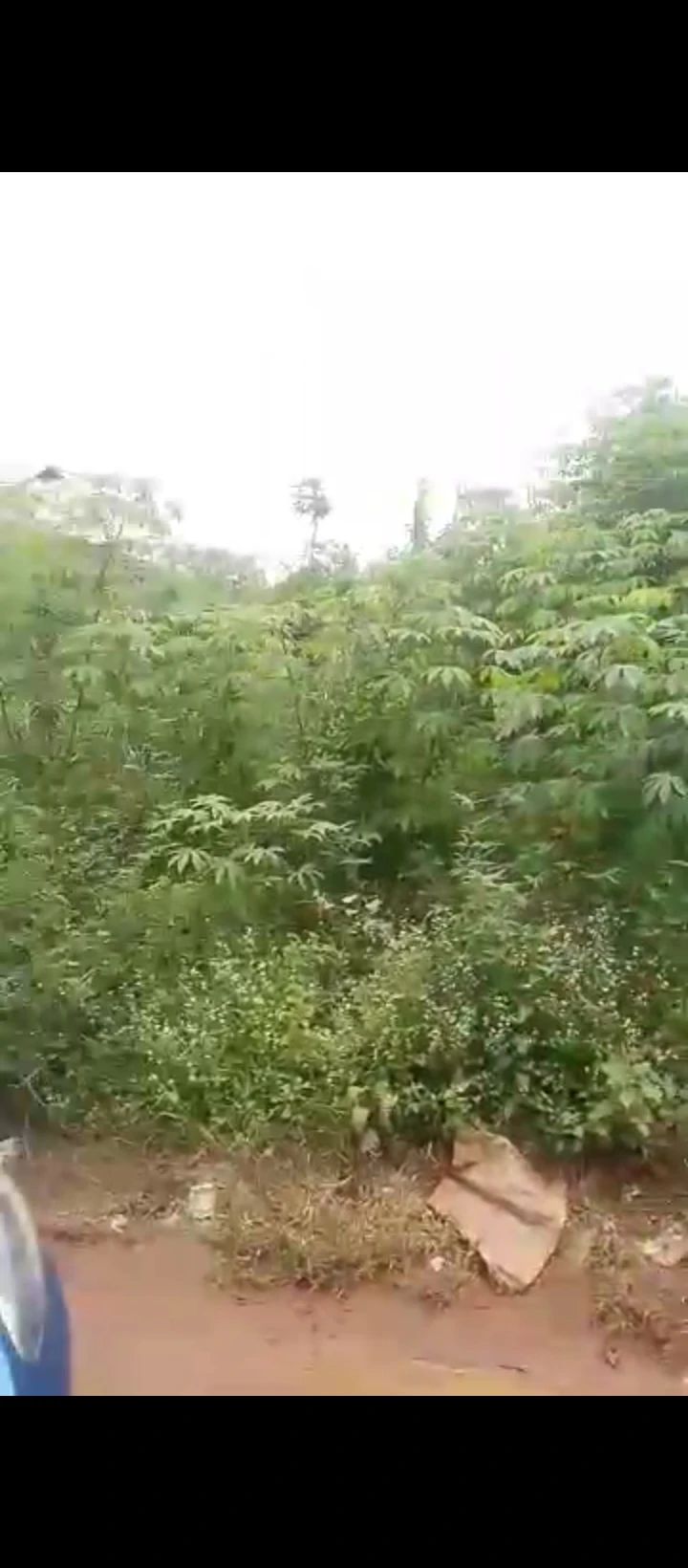 Land for Sale in IYEKOGBA IRIRI RD AIRPORT RD BENIN, Edo - Image 1