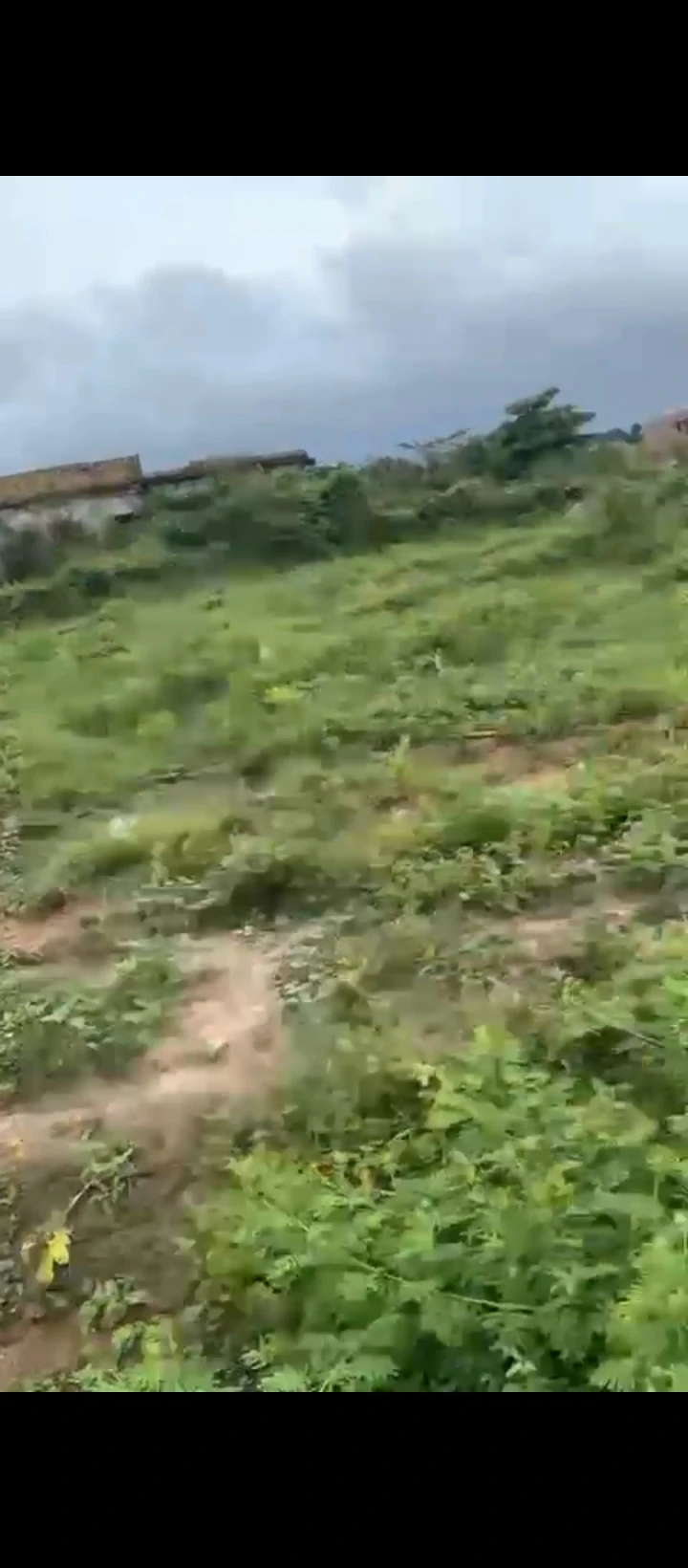 Land for Sale in OKOROMA Road, Edo - Image 1