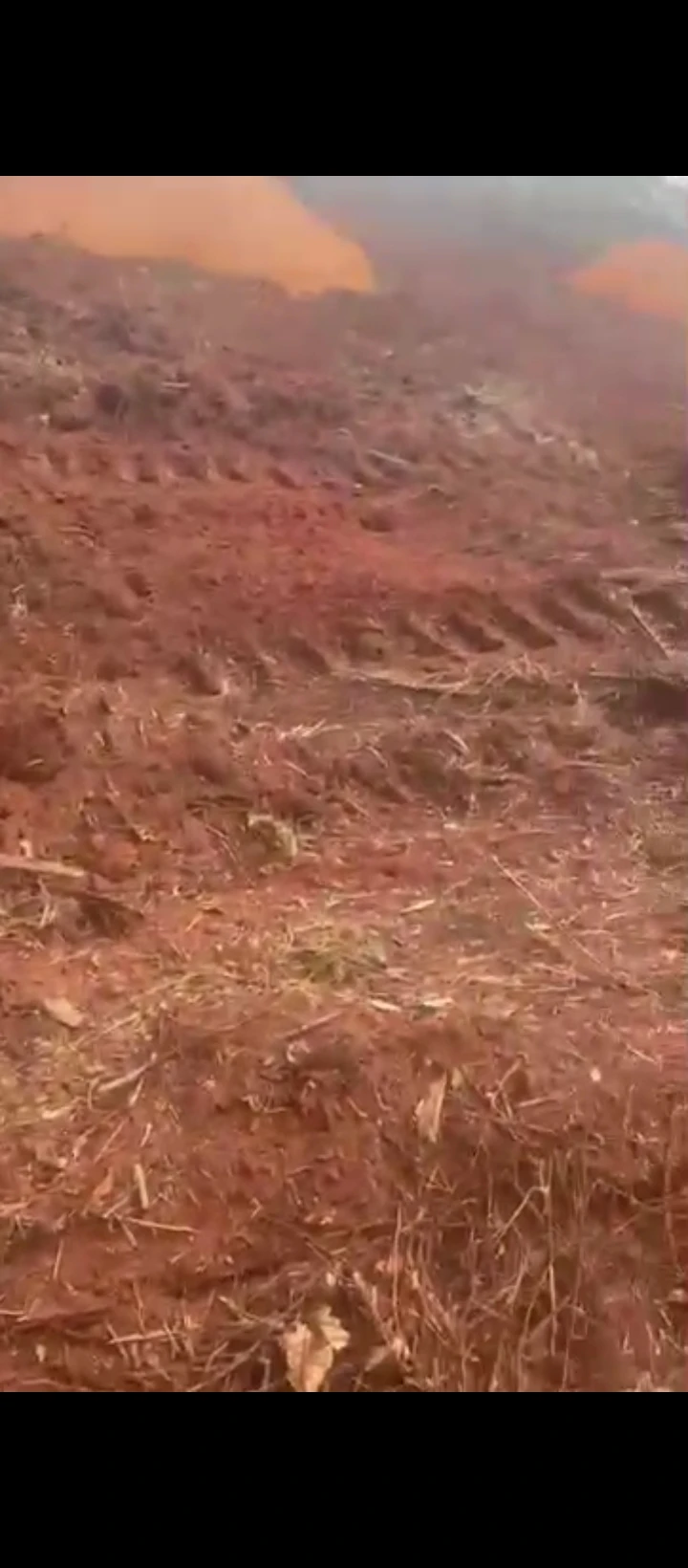 Land for Sale in Iyowa community, Edo - Image 1
