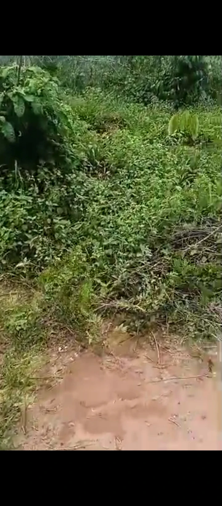 Land for Sale in Obagie  off sapele road, Edo - Image 1