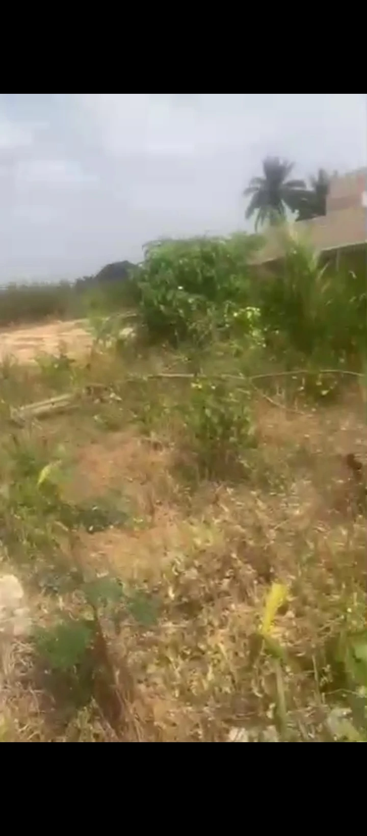 Land for Sale in Benin city, Edo - Image 1