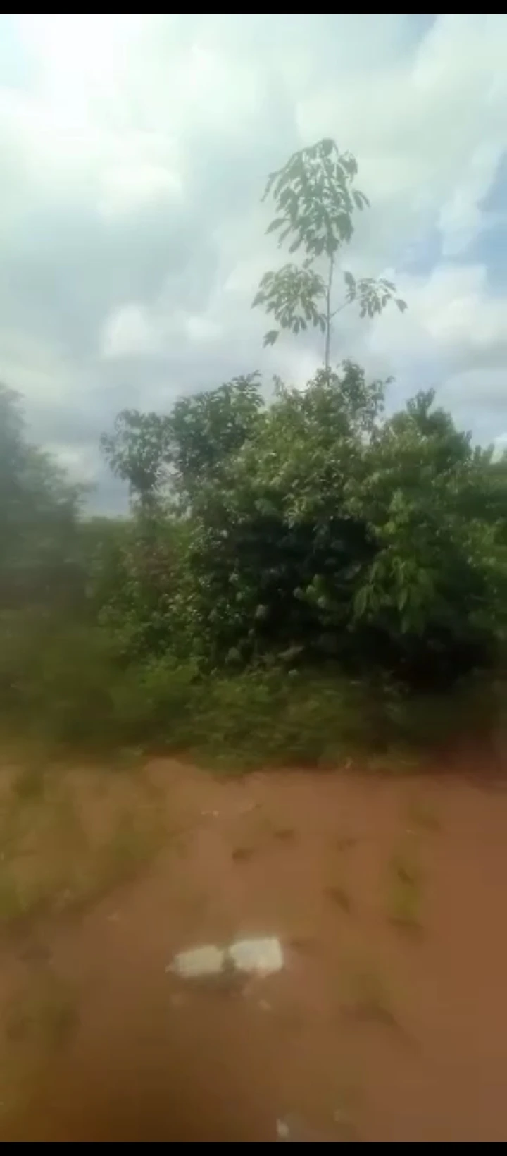 Land for Sale in Benin city, Edo - Image 1