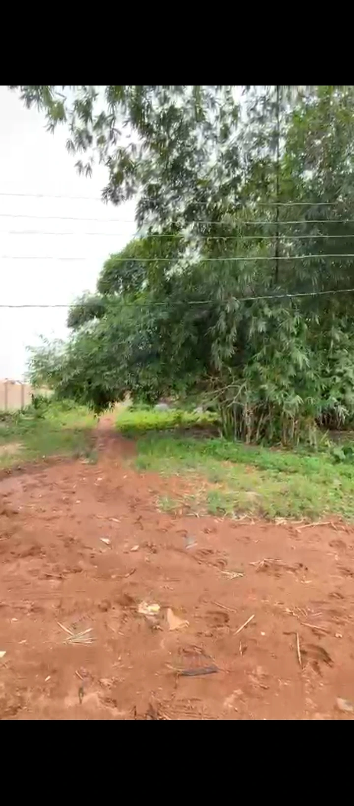 Land for Sale in Amagba GRA, Edo - Image 1